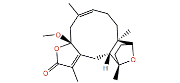 Pachyclavulariolide C
